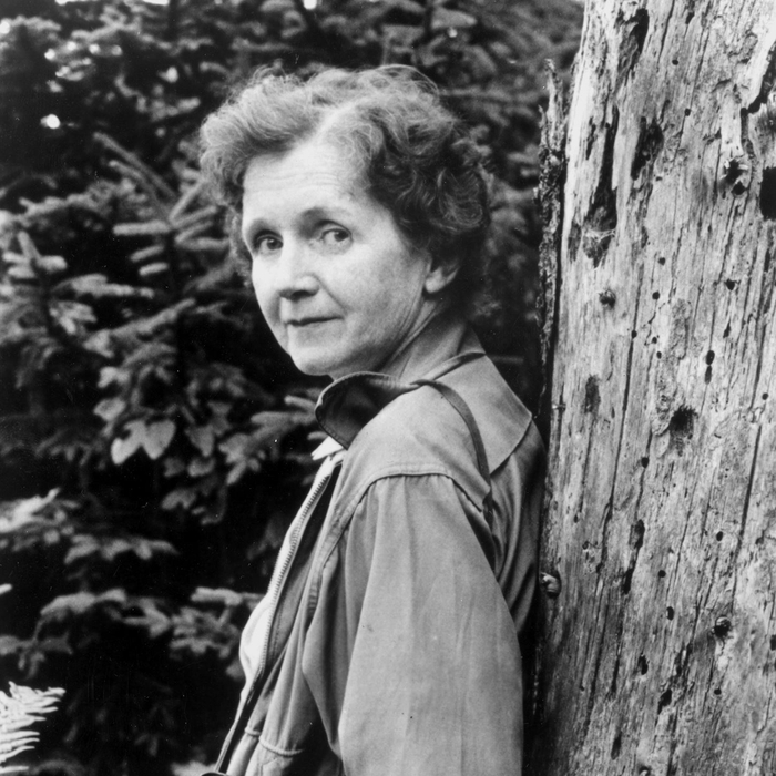 蕾切尔·卡逊（Rachel Carson）