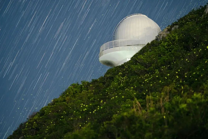 ▲ 深圳市天文台的萤火虫与星空。摄影：曾跃鹏