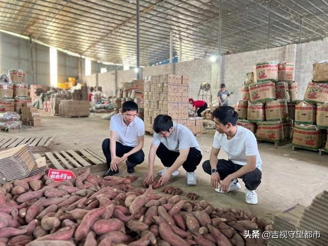 ▲3月22日，拼多多“农云行动”专项小组走进广西南宁，为当地商家提供一对一定向运营指导。朱枫/摄