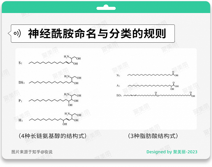 神经酰胺命名与分类的规则（图片来源于知乎@妆说）