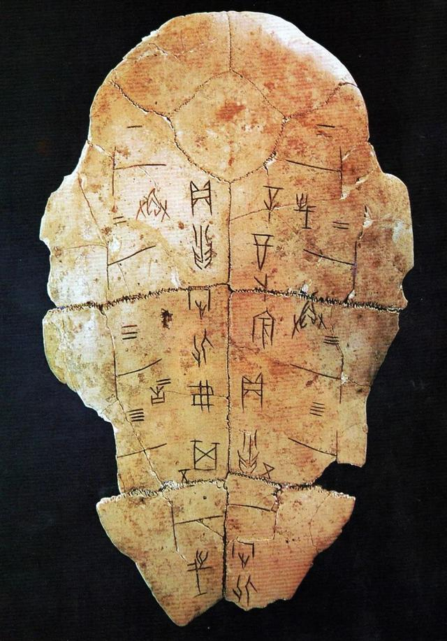 ▲殷墟出土的龟甲甲骨文。