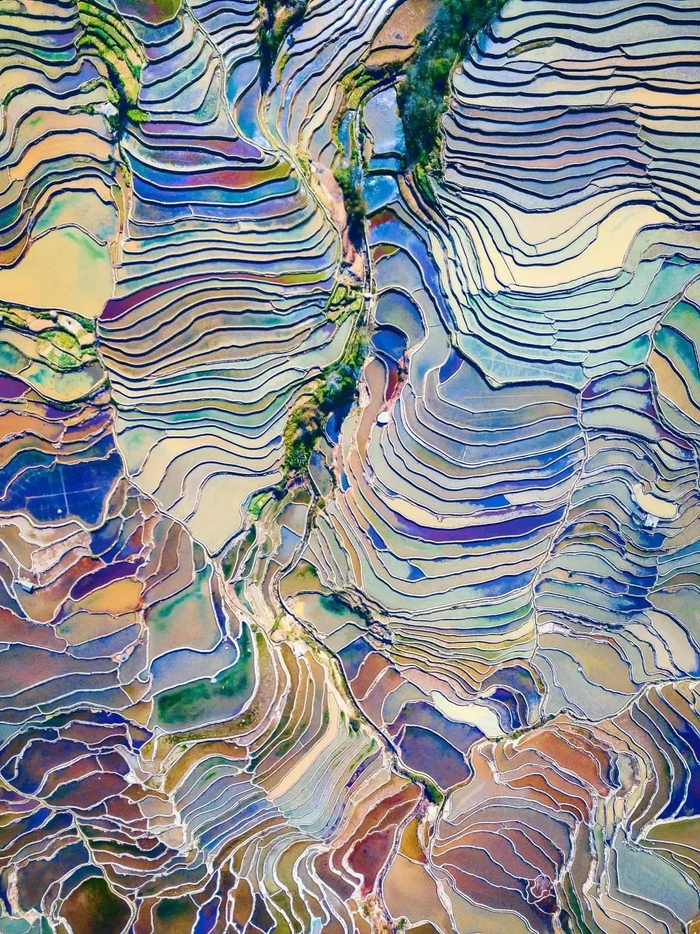 图源：“人民日报”微信公众号