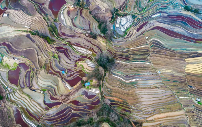 新华社记者 陈欣波 摄