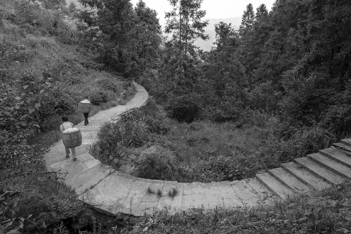 歙县、岔口镇、文山村（2019年）