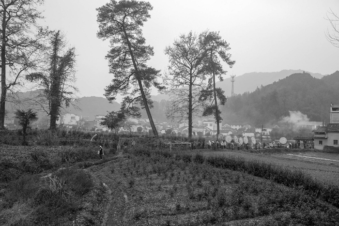 祁门县、闪里镇、桃源村（2018年）