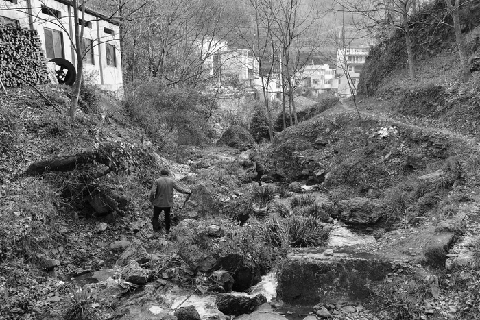 歙县、岔口镇、茶园坪村（2019年）