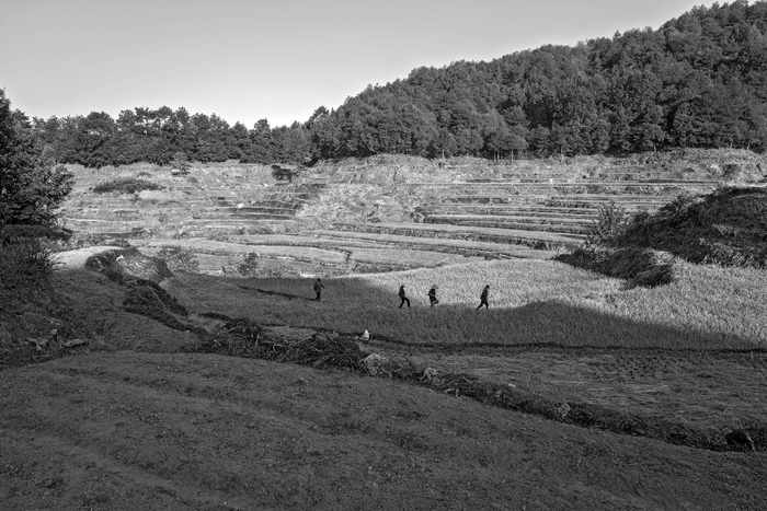 徽州区、呈坎镇、灵山村（2022年）