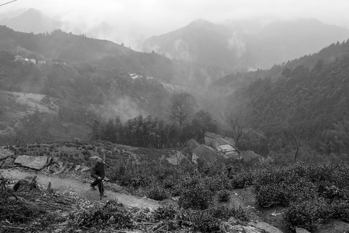 歙县、岔口镇、望云头村（2021年）