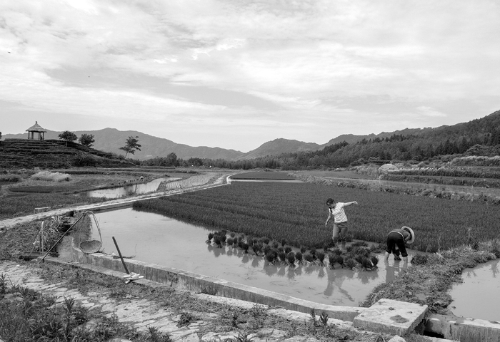 黟县、 碧阳镇、高山韩村（2016年）