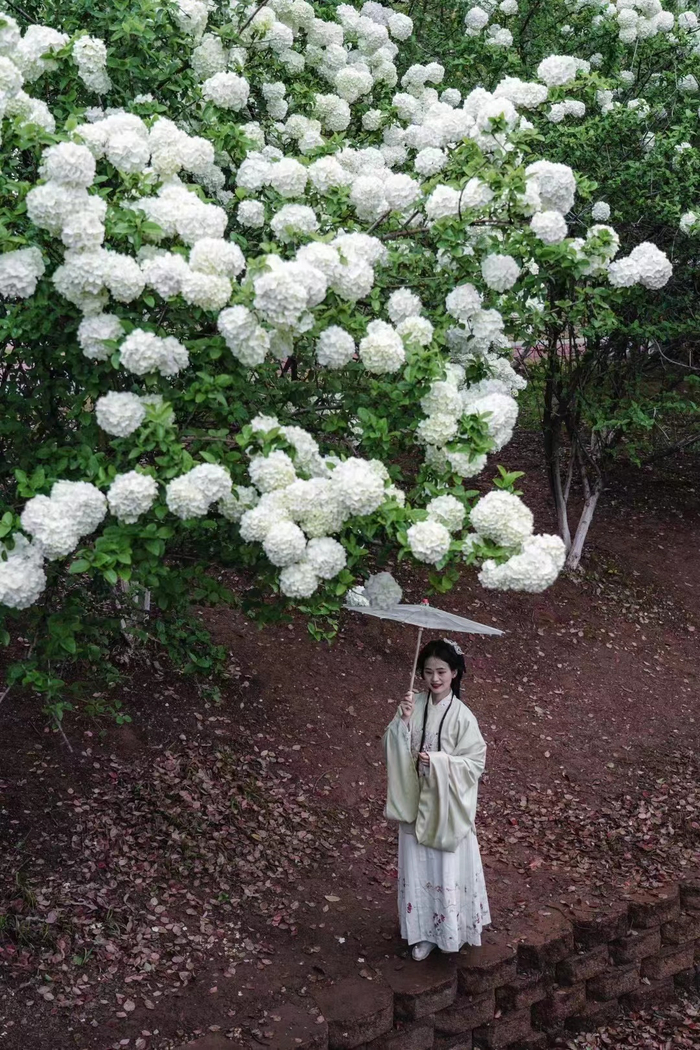 图自网友@何宇琨