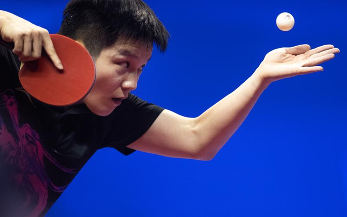 樊振东希望球迷见证运动员樊振东的成长，而不去关注赛场外普通人樊振东的日常。  资料图/新华社