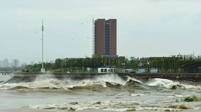 资料图片 图源：中国网