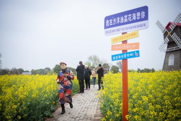 图为游客在沙洋县油菜花旅游节核心景区内赏花。新华社记者伍志尊 摄