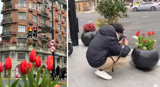 图源：微博@21视频、抖音视频截图