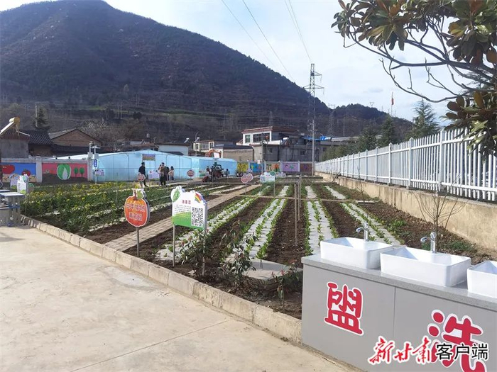 江洛小学智慧农场。