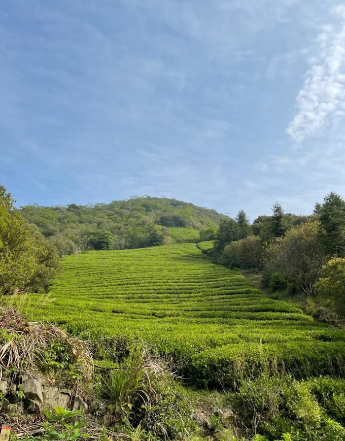 宁波露营好去处山上王村大风车营地