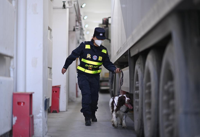 　4月4日，刘欣和警犬康欣进行车体检查。新华社记者 李响 摄