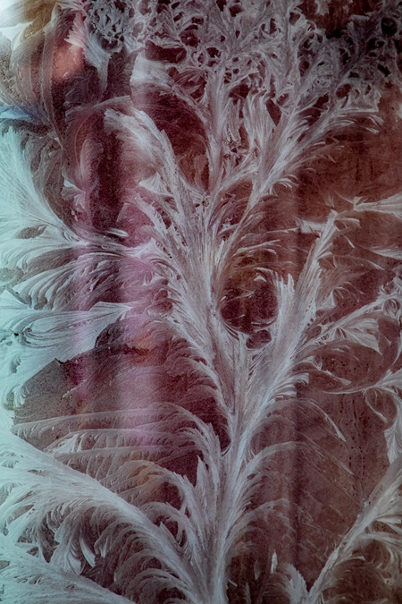     2022年11月30日，吉林省吉林市，玻璃上结出的冰霜窗花。视觉中国供图（资料图片）