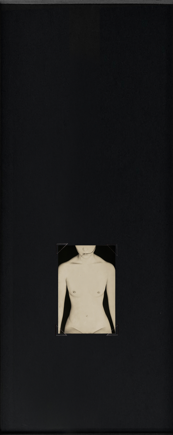 《净》 银盐纸基  2010年