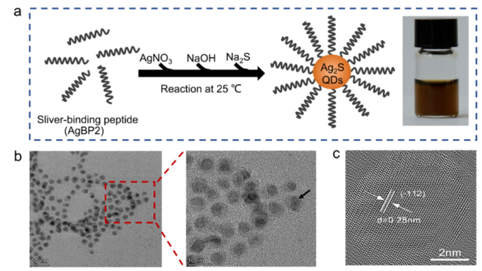 （来源：Angewandte Chemie）