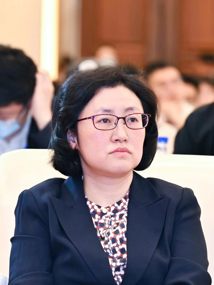 国务院普查办副主任、应急管理部风险监测和综合减灾司副司长袁艺。受访者供图