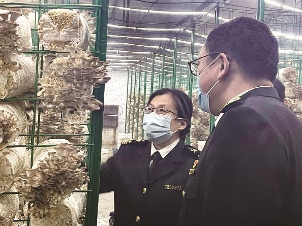             吴淞海关调研上海永大菌业有限公司的出口食品安全生产情况  王远韬  摄          