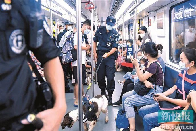 客流高峰期，民警带着警犬在广州地铁内开展地铁车站巡逻防控和安检工作。