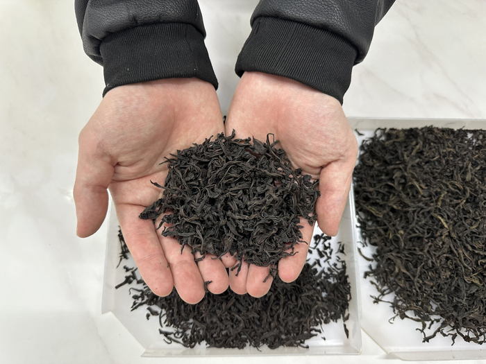 福建一位茶叶采购人员向记者展示茶叶品质。 新京报记者 王子扬 摄