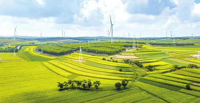 朔州市风电项目远眺。