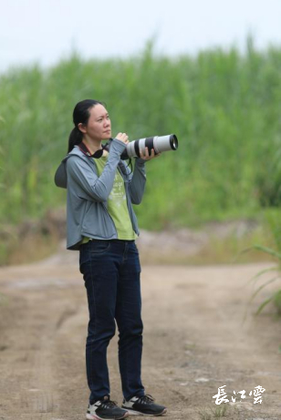 杂草生态学博士、武汉市园林科学研究院植物保护研究所助理研究员毛润萍