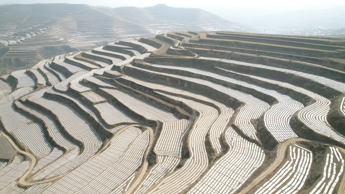 静宁县古城镇北山梁旱作农业示范带。代祥峰 摄