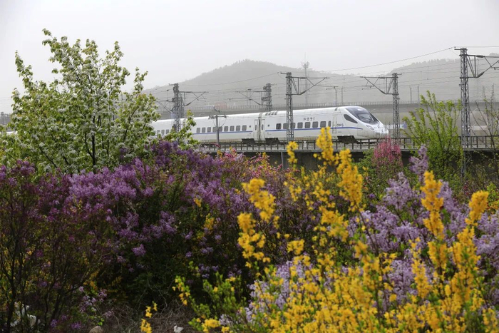 高铁从大连市后关村驶过  刘慎库 摄