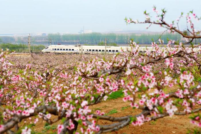高铁途经山海关境内  刘慎库 摄