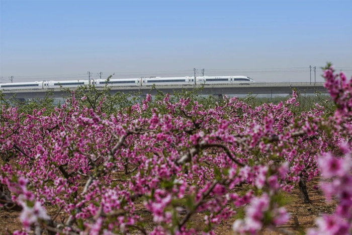 高铁经过瓦房店桃园  刘慎库 摄