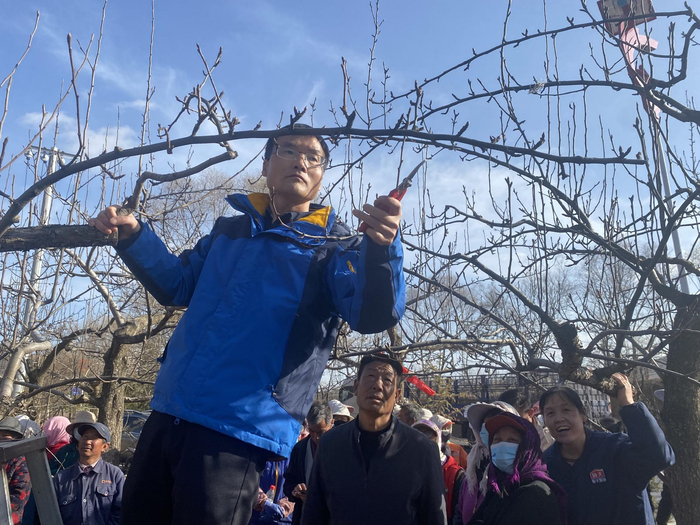 国家乡村振兴科技特派团在界石铺镇开展春季早酥梨园标准化管理培训。资料图 程玉兰 摄