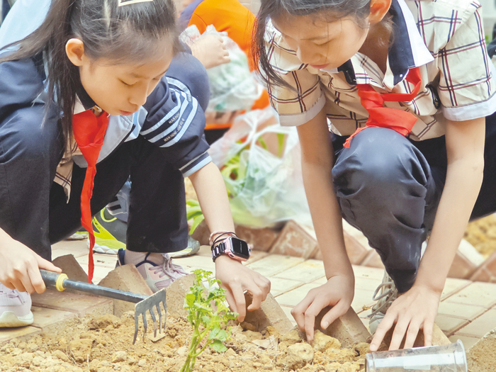     ▲南宁市江南区富乐小学教育集团本部举行劳动种植基地——乐耕园开耕仪式，学生种下幼苗。    （学校供图）
