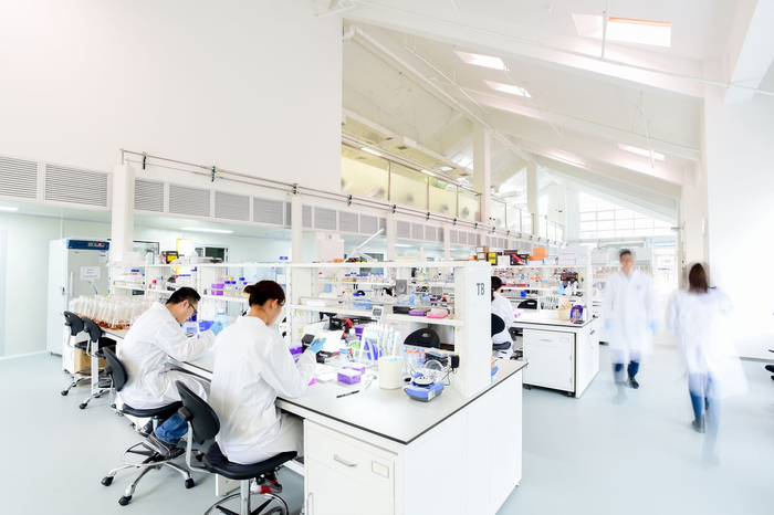 全球健康药物研发中心里工作人员正在做实验（图片由全球健康药物研发中心提供）