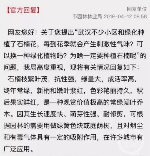 ▲武汉市园林林业局回复市民疑问。  图片来源/网络