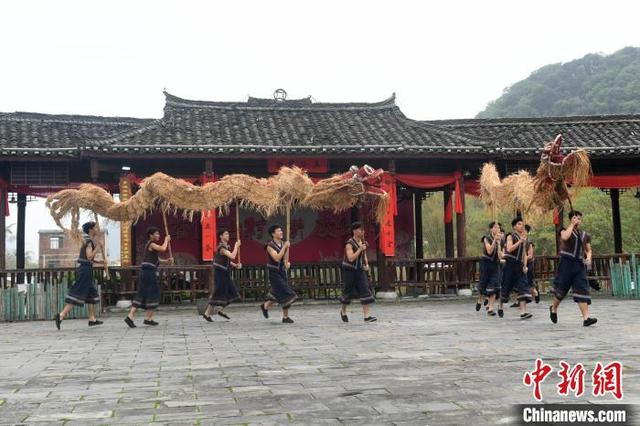 图为舞草龙现场。 廖光福 摄 