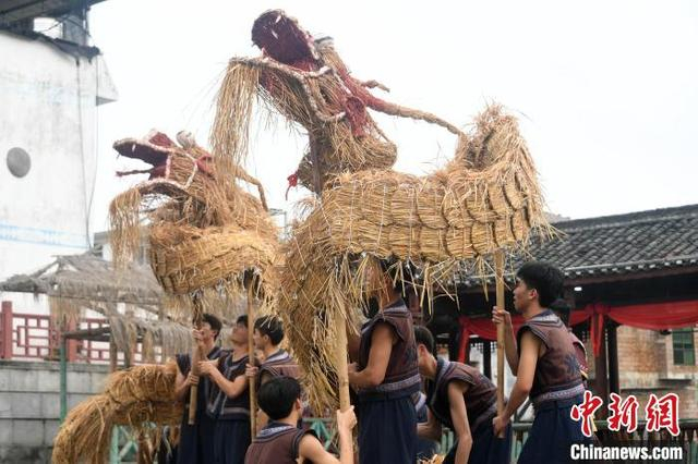 图为舞草龙现场。 廖光福 摄 