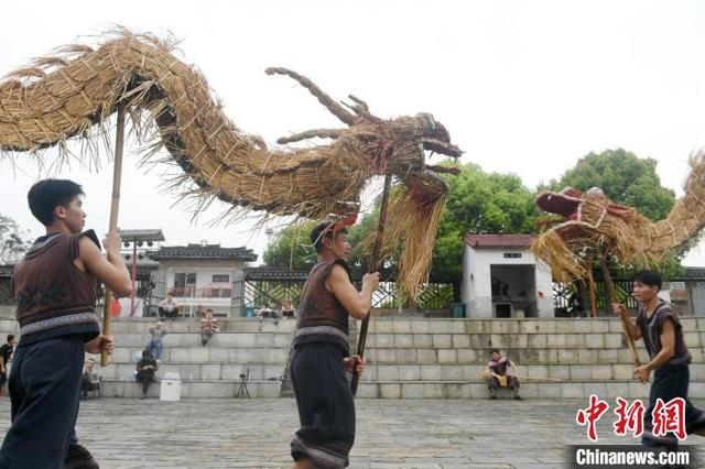 图为仫佬族民众在舞草龙。 廖光福 摄 