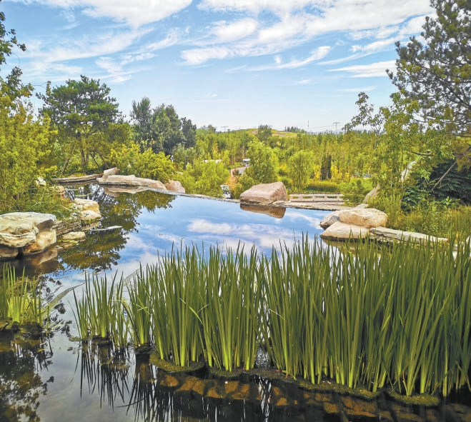 公园塑造了山水林田湖等多种生境。张正晔摄