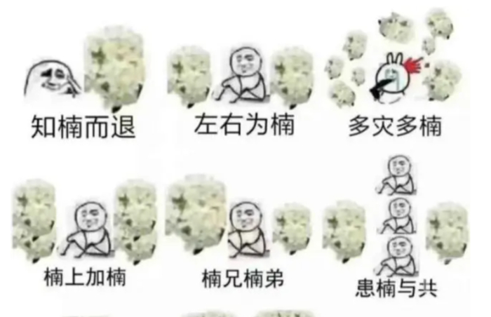 ▲网友自创的石楠表情包。  图片来源/网络