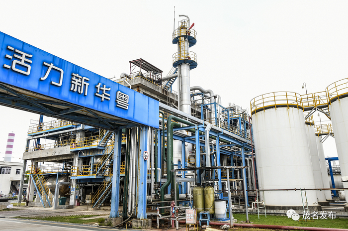 广东新华粤石化集团股份公司生产装置。