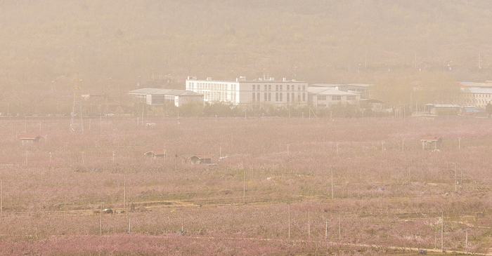 2023年4月12日，第二十五届北京平谷国际桃花节开幕，沙尘天气中俯瞰小金山赏花区。视觉中国 图