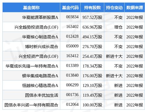 基金子公司股票（基金子公司可以做哪些业务）《基金子公司做什么业务》