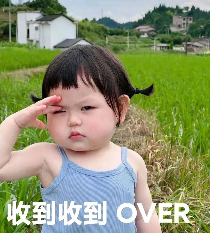 表情包又更新了,礼貌拿图 收到收到……