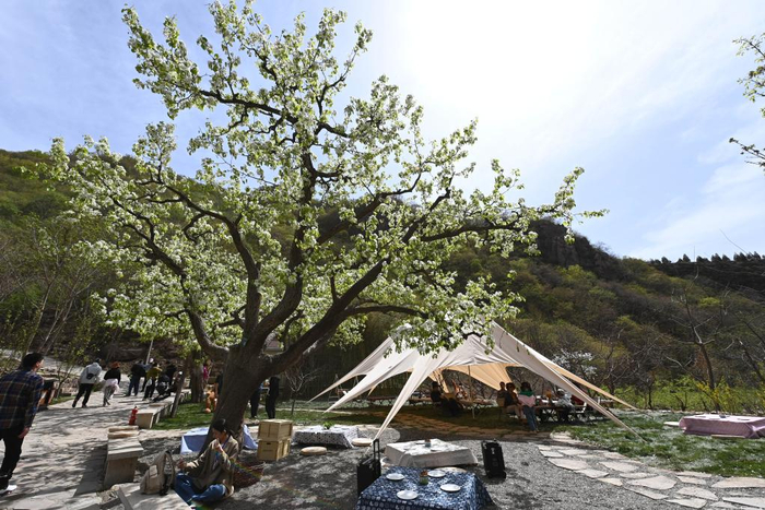 　　4月15日，游客们在天津市蓟州区梨木台自然风景区内游玩。 新华社记者 赵子硕 摄