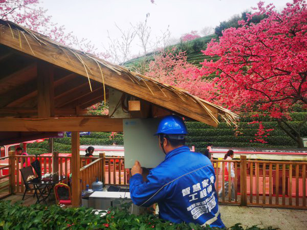 2023福建樱花文化旅游节期间，信息通信业全力保障5G网络畅通