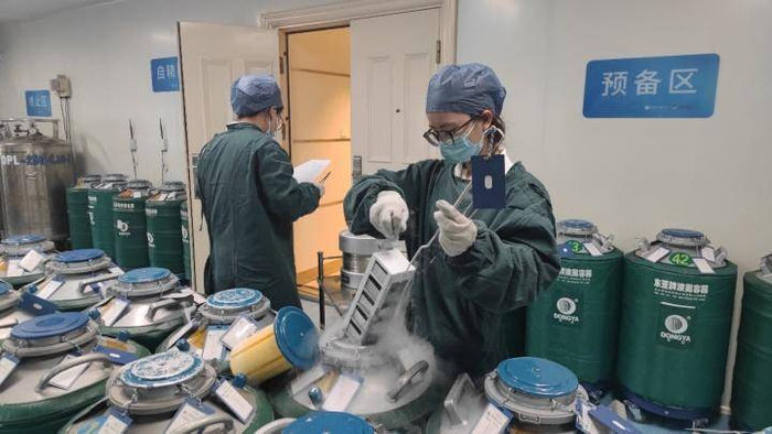 浙江省人类精子库工作人员正在存放精子。记者 卢一 摄